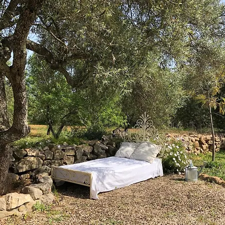 Bed & Breakfast Casa Ameixas Moncarapacho